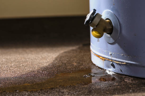 Best Sewage cleanup and water damage restoration  in Prospect Park, NJ