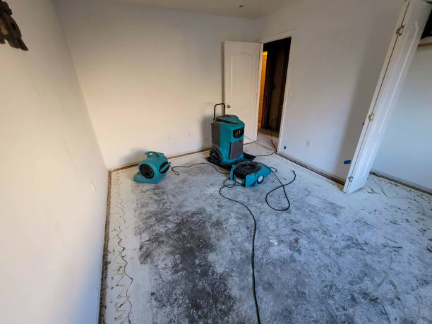 Best Residential water damage restoration  in Prospect Park, NJ