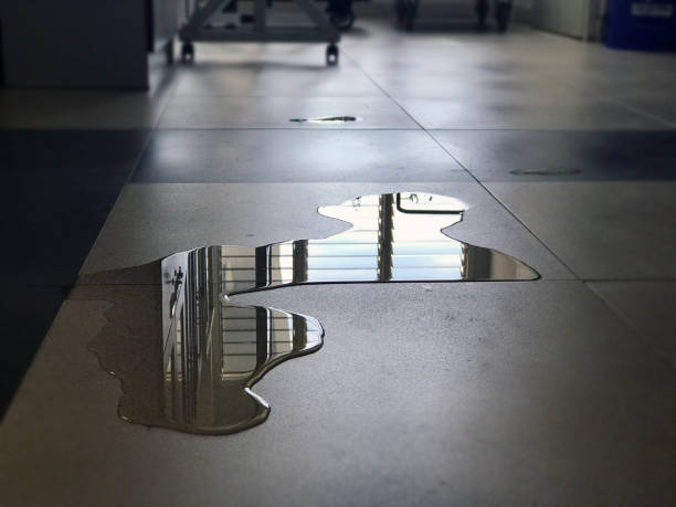 Best Water damage restoration specialists  in Prospect Park, NJ