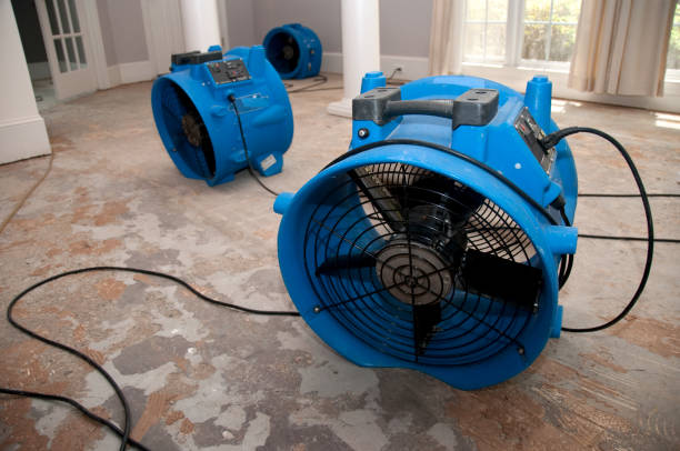Best Water damage cleanup near me  in Prospect Park, NJ