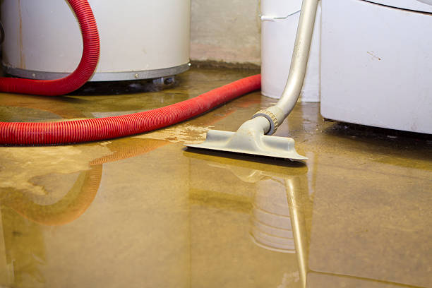 Best 24-hour water damage restoration  in Prospect Park, NJ