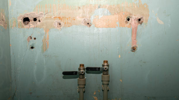 Best Ceiling water damage repair  in Prospect Park, NJ