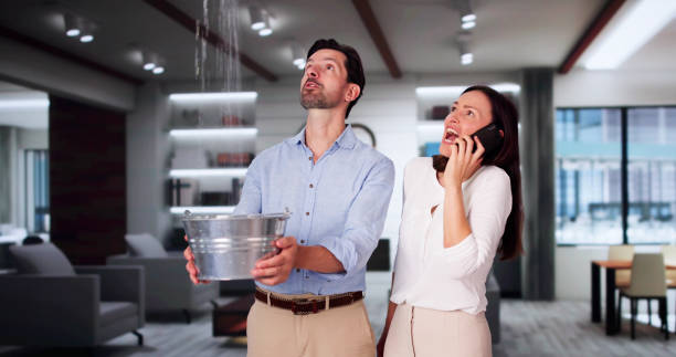 Best Water damage restoration cost  in Prospect Park, NJ