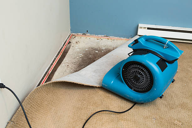 Best Emergency water damage restoration  in Prospect Park, NJ